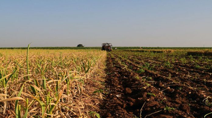 explotaciones agrarias