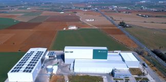 Dcoop aprueba unirse al proyecto cooperativo de concentración de oferta oleícola