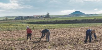 Advierte de que si hay contagio de coronavirus por el trabajo la responsabilidad recae sobre la empresa