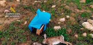 Detenido por cazar en Las Tablas de Daimiel durante confinamiento