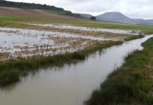 Pide aclarar qué requisitos de la PAC se flexibilizarán por los fenómenos meteorológicos adversos inundaciones