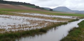 Bruselas aclara el concepto de fuerza mayor para facilitar los pagos de la PAC a los agricultores inundaciones