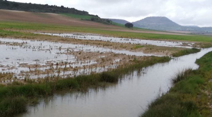 Pide aclarar qué requisitos de la PAC se flexibilizarán por los fenómenos meteorológicos adversos inundaciones