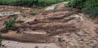 Agua y granizo dañan los cultivos de Ossa de Montiel