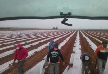 El campo destaca que ya pagó en 2025 por encima del Salario Mínimo Interprofesional trabajadores