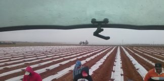 A partir del 1 de octubre la jornada a tiempo parcial contará como un día cotizado trabajadores