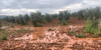 La lluvia sumó hasta 70 litros en localidades de Ciudad Real