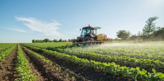 FENACORE remarca labor regadío para alimentar a 265 millones de personas