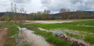 Piden limpieza de cauce para evitar inundaciones de parcelas agrarias