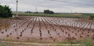 ASAJA solicita revisión del Plan Especial de Sequía en el Alto Guadiana