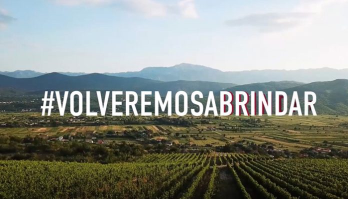 volveremos a brindar interprofesional del vino de España