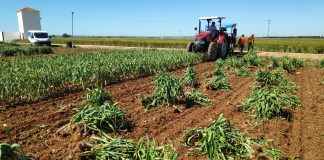 ¿Cómo define el Plan Estratégico para la Política Agrícola Común (PAC) 2023-2027 al agricultor activo?