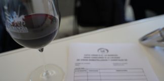 Añada 2019 «muy buena» en los vinos DO La Mancha