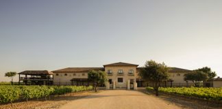 La crisis del Covid19 sigue afectando gravemente al 94% de las bodegas españolas