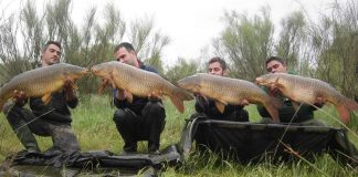Recuerdan desde Daimiel como afecta fase 1 a caza y pesca