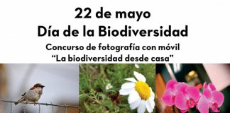 Convocado concurso de fotografía con móvil ‘La biodiversidad desde casa’