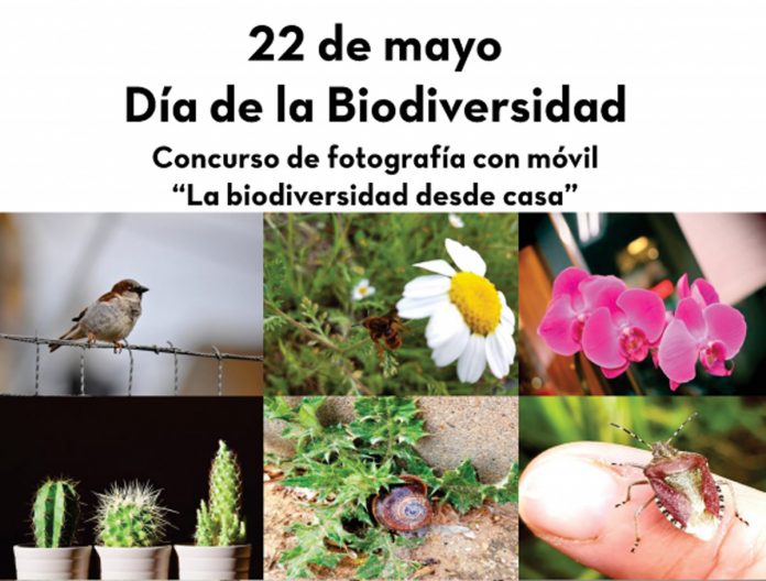 CARTEL CNCURSO FOTO 1