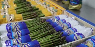 Mercadona prevé comprar 1.000 toneladas de espárrago verde de origen nacional