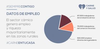 La contribución socioeconómica del sector ganadero-cárnico es esencial para el país