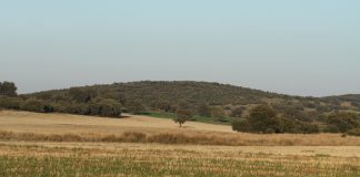 La caza pide una futura PAC más sostenible