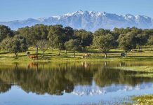 La moda rural: grandes patrimonios y famosos que miran al campo finca