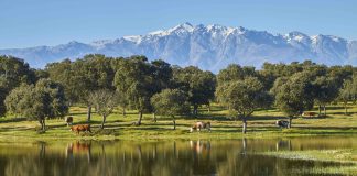 ¿Cómo se empieza un proyecto de agroturismo en una finca rústica? finca