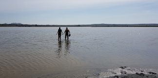 Importante premio para una tesis de UCLM sobre Laguna Pétrola (Albacete)