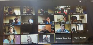 Cooperativas de Castilla y León garantizan recogida uva de sus socios