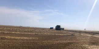 Deja de cotizar una importante lonja por el inminente inicio de la campaña de cereales siega