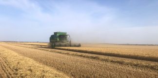 La producción de cereales para la campaña 2025/26 superará los 23 millones de toneladas cosecha de cereales