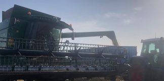 Lamenta que campaña cereal haya arrancado con precios de hace 32 años