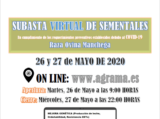 Éxito de I Subasta Virtual de Sementales de Raza Ovina Manchega