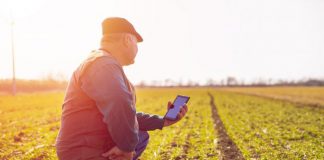 85% de comunidades regantes no pueden cumplir con Ley Administración Electrónica