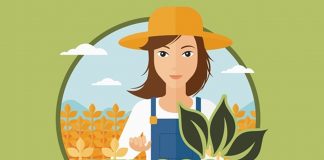 AMFAR abre plazo de matrícula de cinco cursos online gratuitos