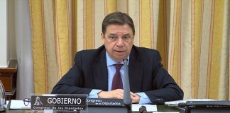 Planas reitera su intención de prorrogar a septiembre las medidas extraordinarias sobre empleo agrario