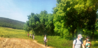 Vuelven las rutas por espacios naturales de Castilla-La Mancha