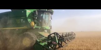 VIDEO: Comienza la siega de cereal en La Mancha