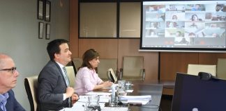 Castilla-La Mancha apuesta por disminución de rendimientos por hectárea de viñedo