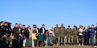 Satisfacción por aprobación del proyecto europeo ‘Life Lynxconnect’ hasta 2025