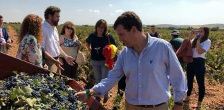 VOX, en apoyo y defensa del sector del vino español