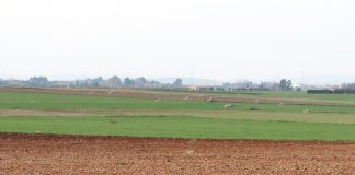 Castilla-La Mancha convocará ayudas para agricultores de zonas ZEPA zona ZEPA