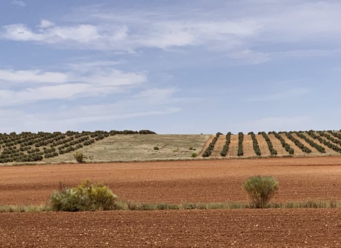 CAMPO 2
