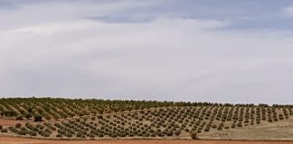 7,8 millones para mantenimiento de la actividad agraria, pesquera y alimentaria