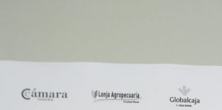 Lonja de Ciudad Real. Ovino-caprino. 25-junio-2020