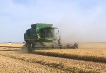 La nueva regulación contra los incendios forestales afectará directamente a la actividad agraria de Castilla-La Mancha siega