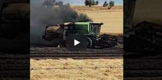VÍDEO: Arde cosechadora en plena recolección de cereal