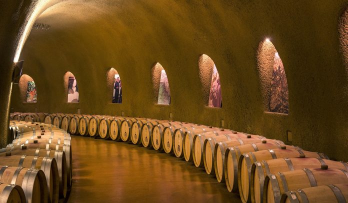 bodega-diccionario-enoturismo