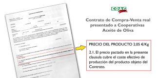 COAG denuncia coacciones a cooperativas para que vendan su aceite por debajo de coste