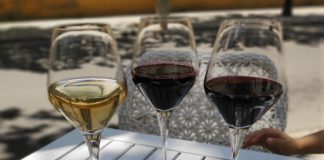 Lamentan que las ayudas para sector vino se quedan muy cortas
