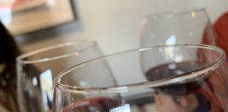 Primer gran estudio que demuestra beneficio del vino en la salud